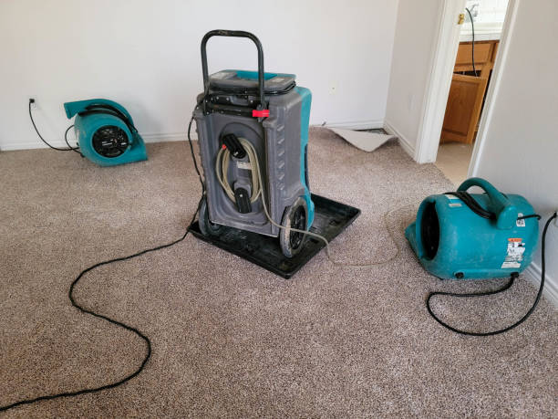 Best Water damage restoration cost  in Hemlock Farms, PA