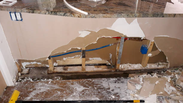 Best Professional water damage repair  in Hemlock Farms, PA