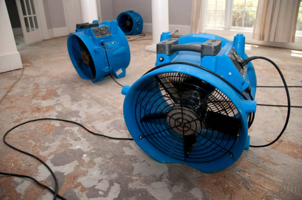 Best Water damage cleanup near me  in Hemlock Farms, PA