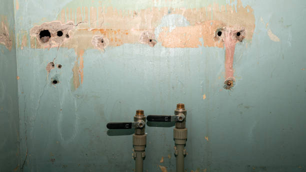 Best Local water damage restoration  in Hemlock Farms, PA