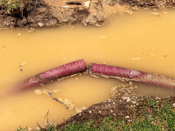 Best Water damage restoration near me  in Hemlock Farms, PA