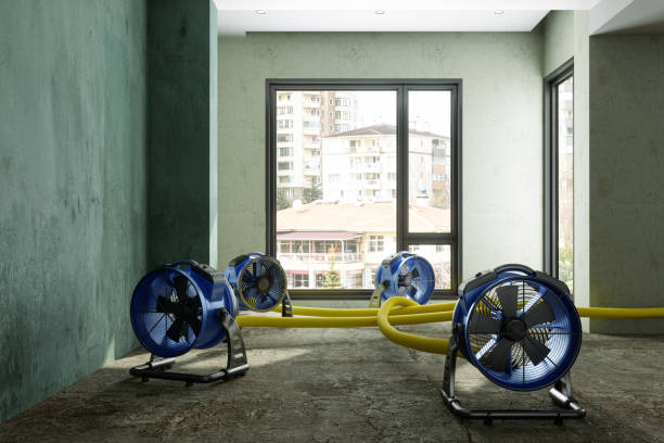 Best Mold removal after water damage  in Hemlock Farms, PA