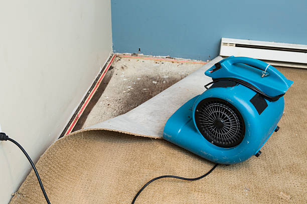 Best 24-hour water damage restoration  in Hemlock Farms, PA
